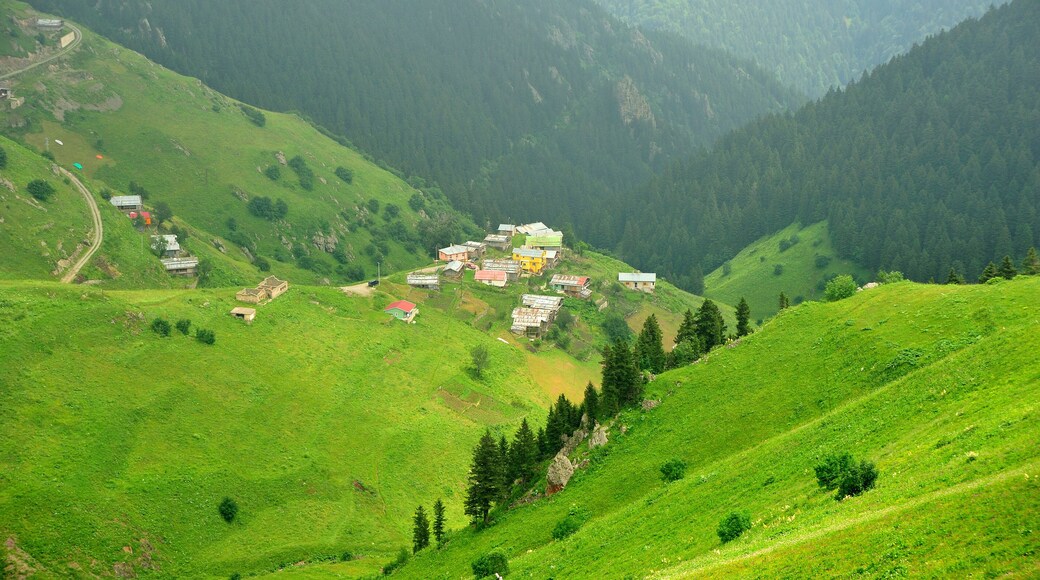 Haçkalı Baba Yaylası