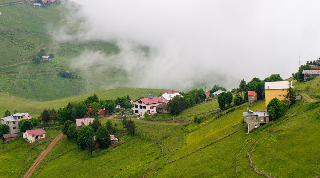 Haçkalı Baba Yaylası