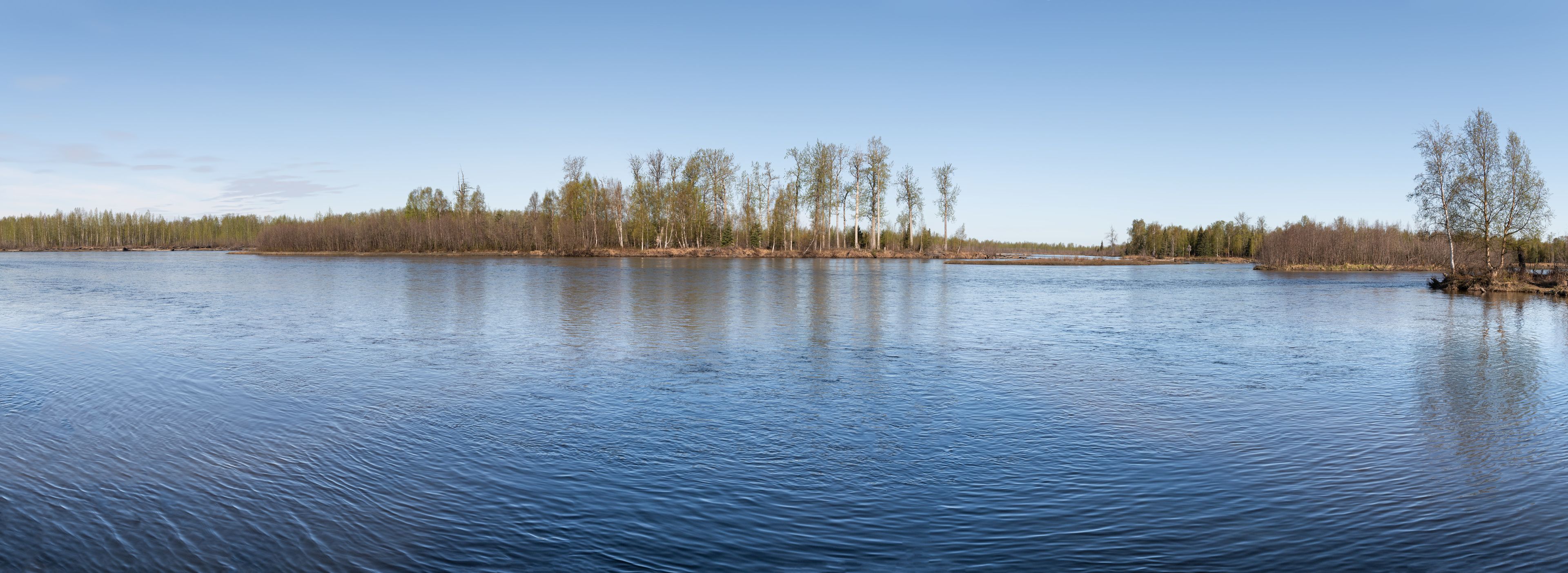 A calm lake with a forested shoreline.