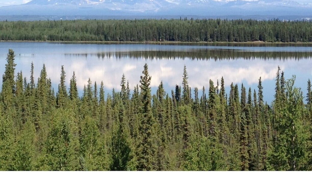 My. Wrangell and company