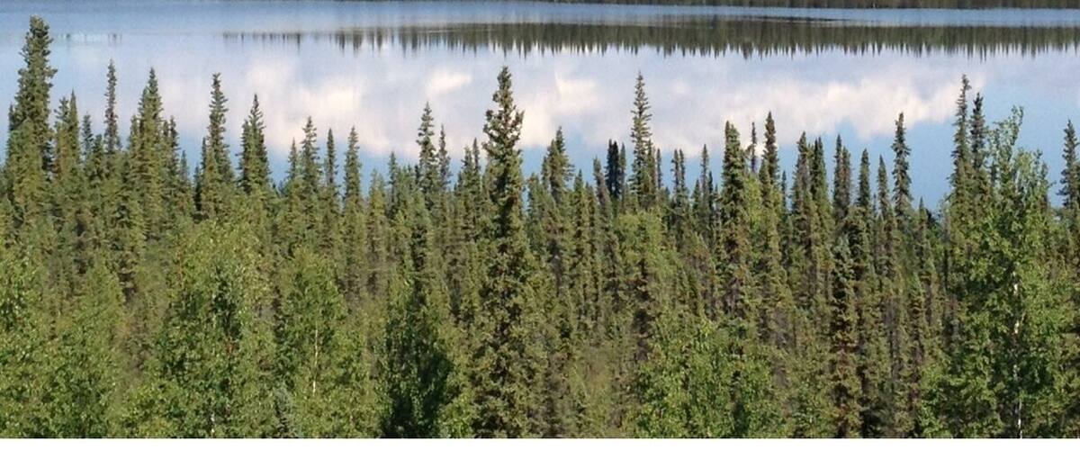 My. Wrangell and company