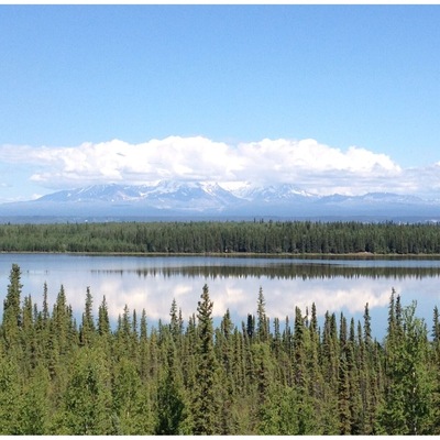 My. Wrangell and company