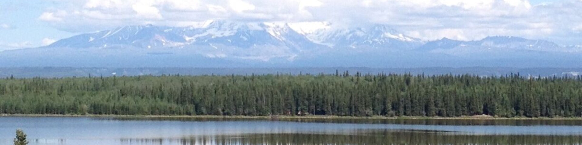 My. Wrangell and company