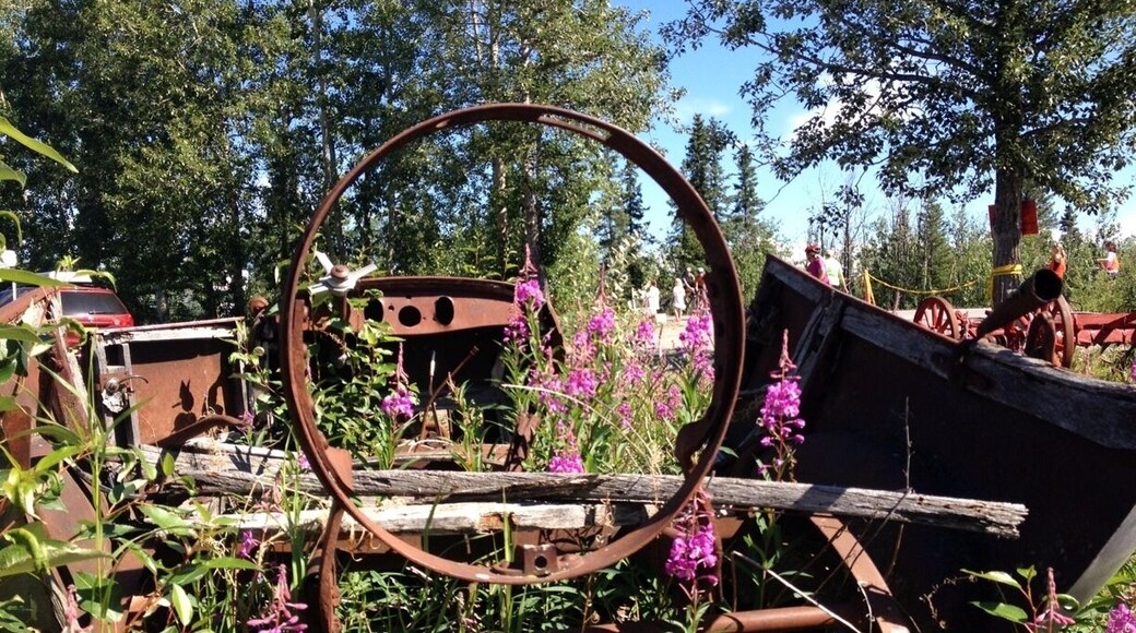 Fireweed at the halfway mark