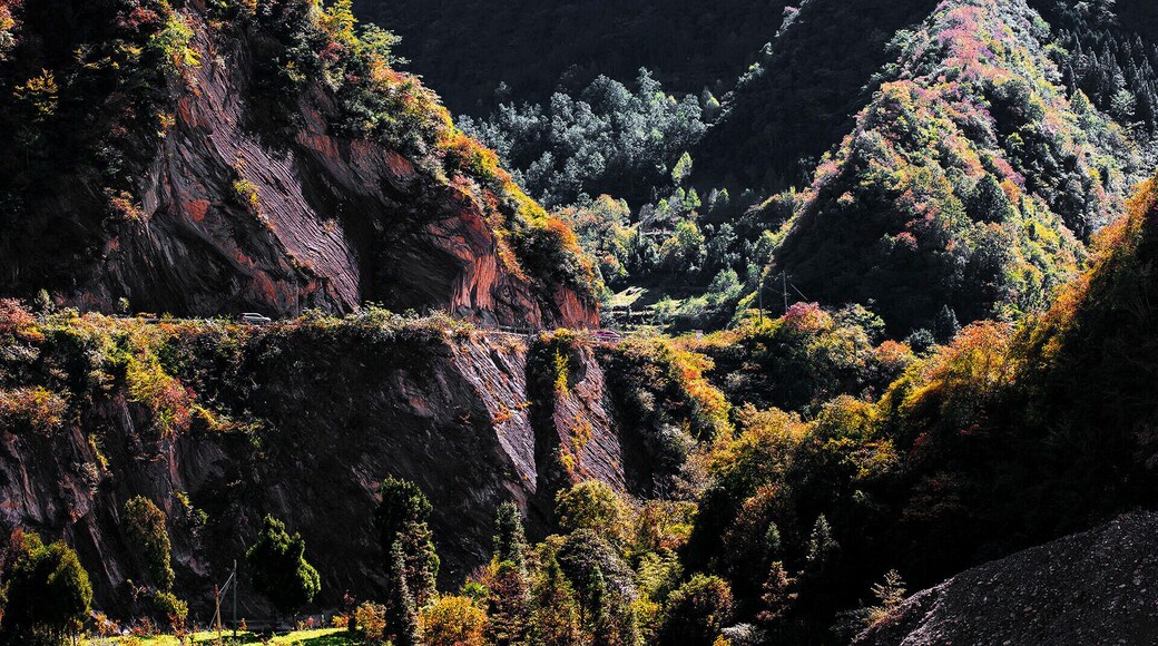 Autumn to the #HuyaGrandCanyon of Pingwu.ćčłæŠèçç§èČ.
https://twitter.com/Beautifulgx