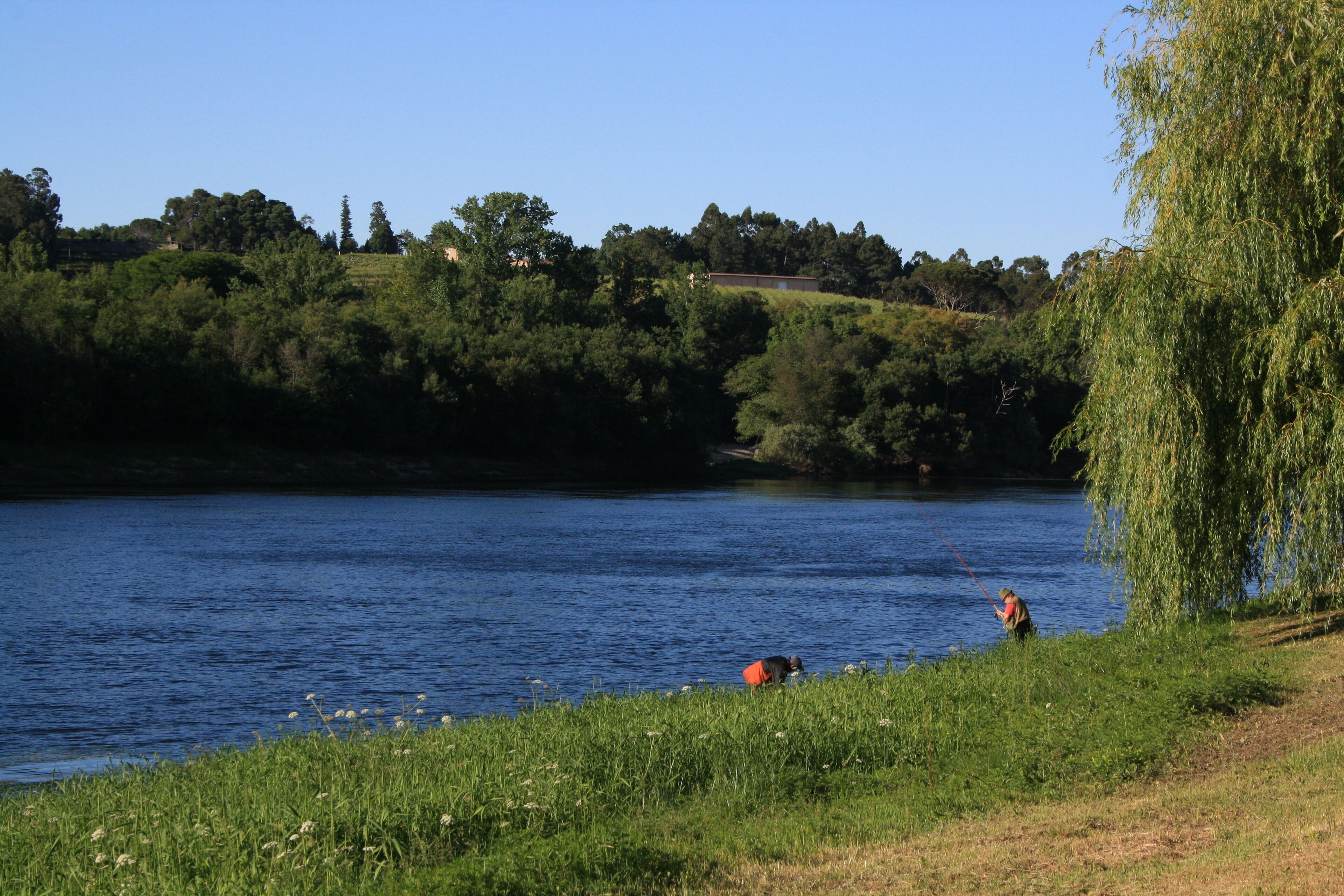 Lapela - El arte de la pesca