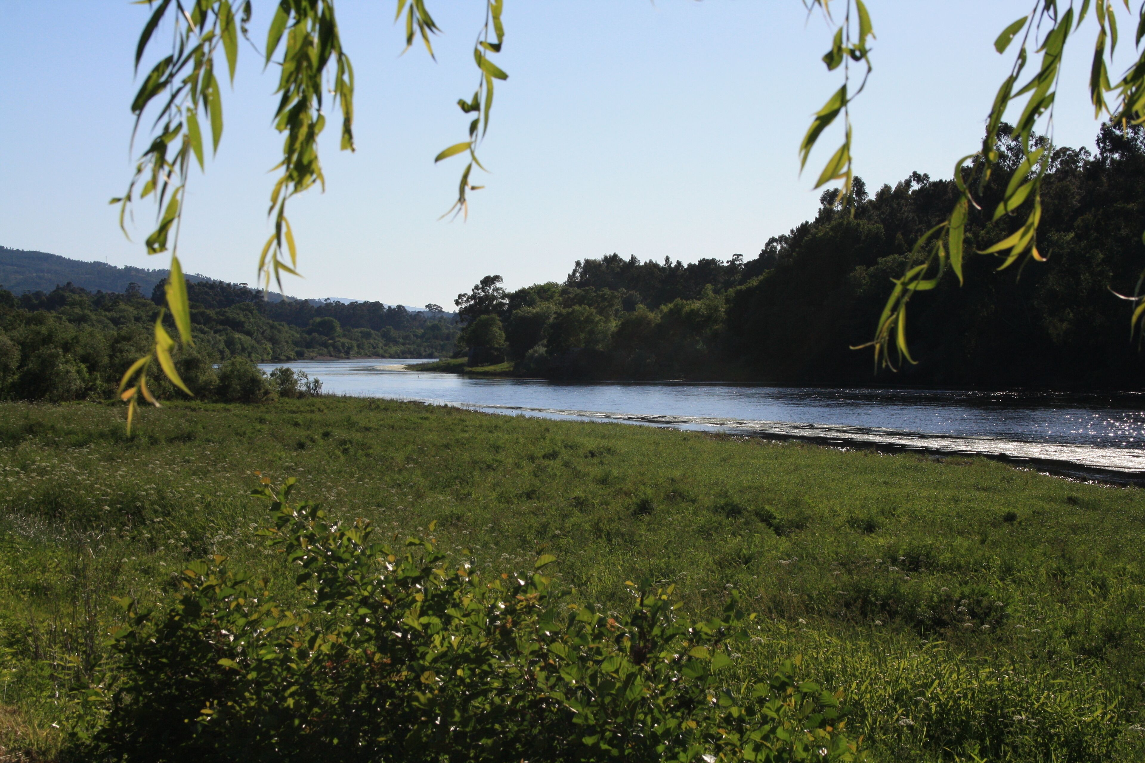 Lapela - El río Miño en su curso
