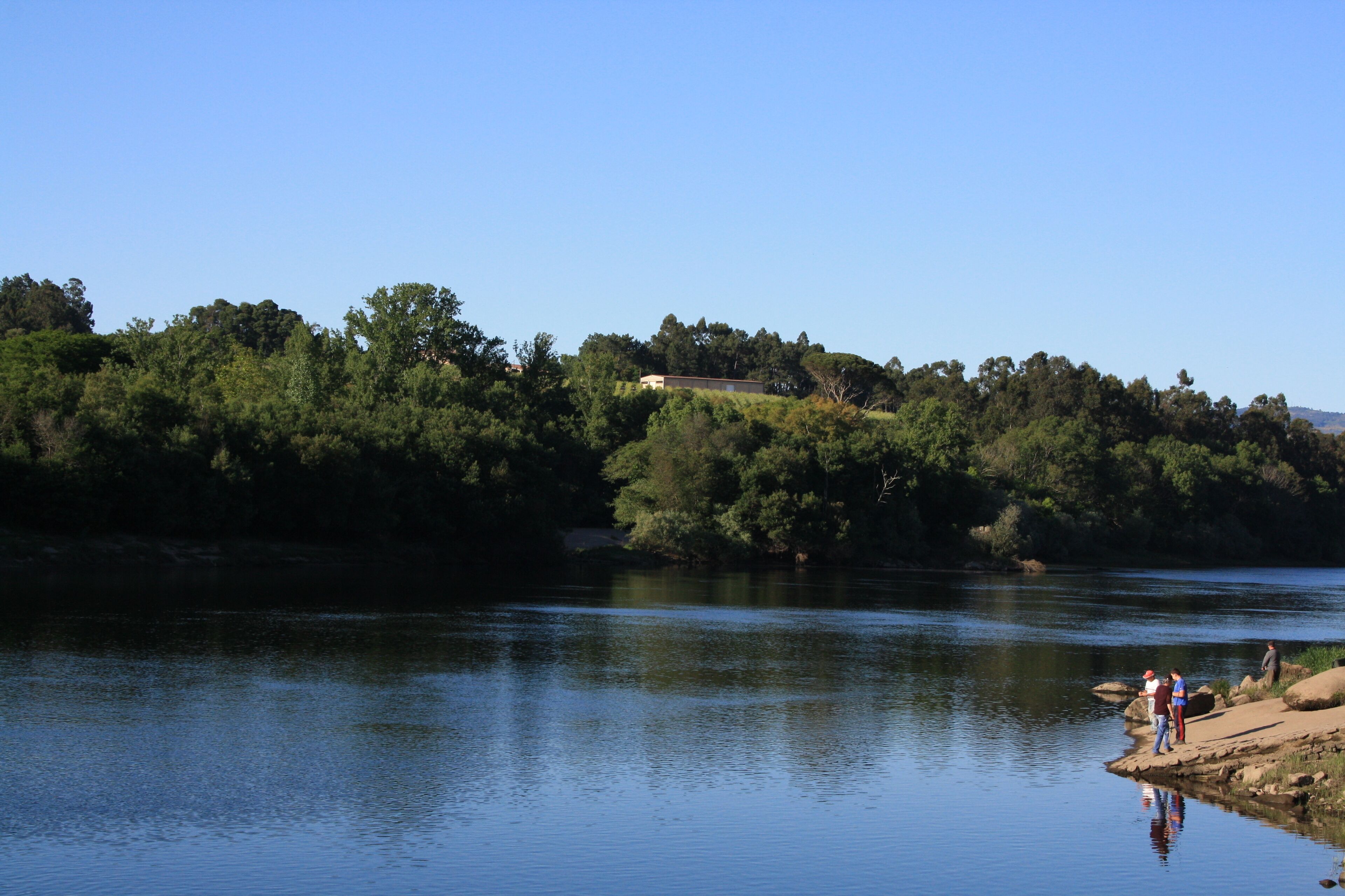 Lapela - A Si no hay nada que hacer..