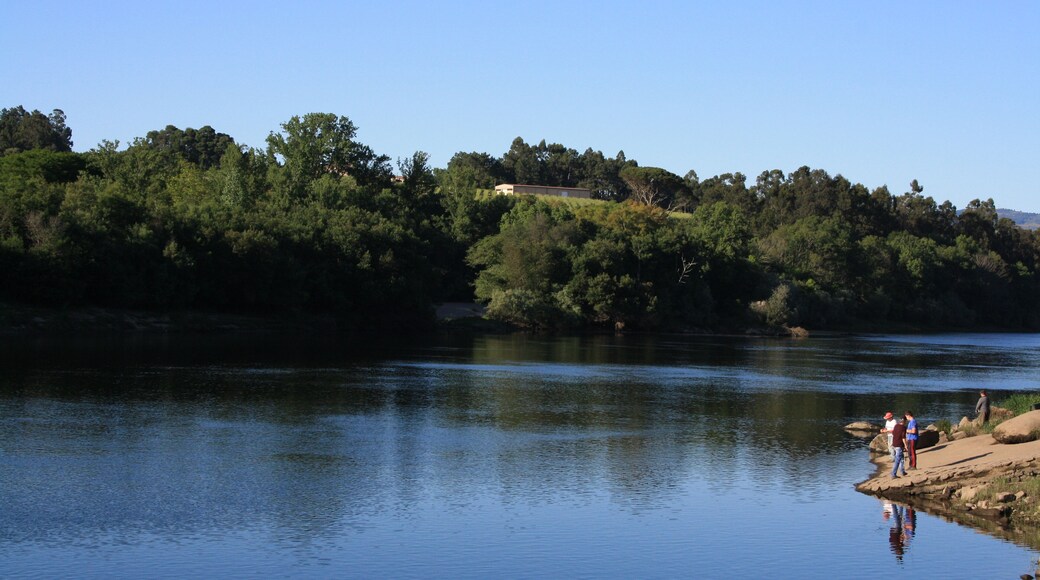 Lapela - A Si no hay nada que hacer..