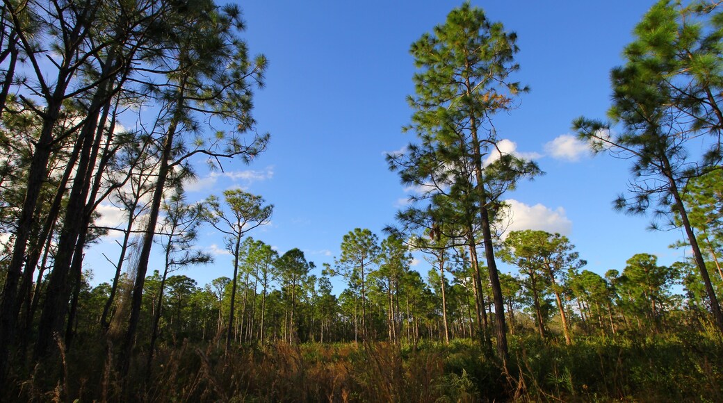 Oxbow Eco-center, Fort Pierce, Florida