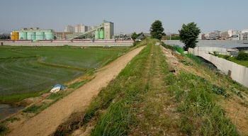 The Suin Line in Seryu-dong, Suwon