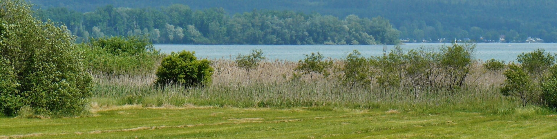 Zeller See (Bodensee)
