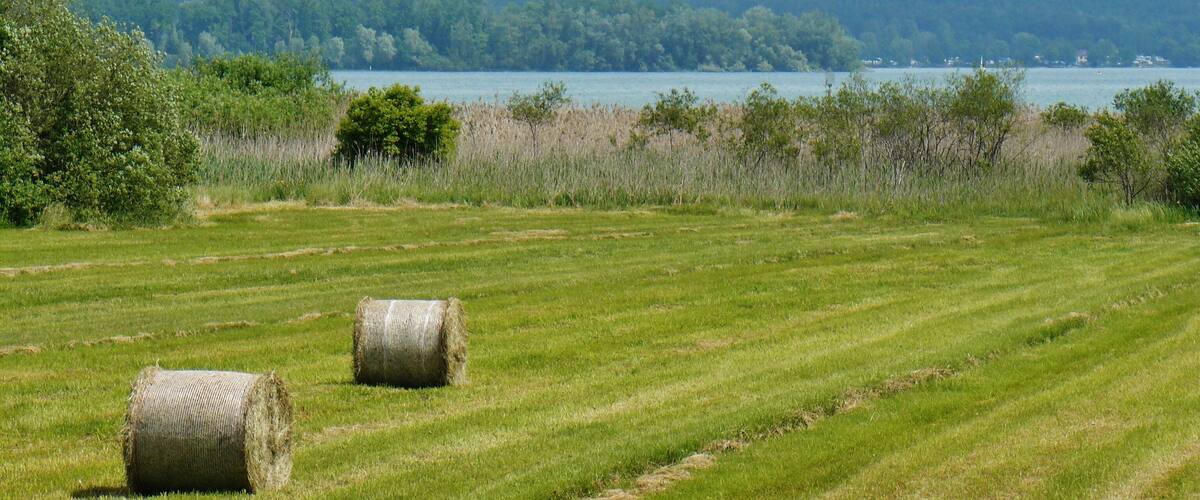 A grassy field with hay bales and a lake in the background.