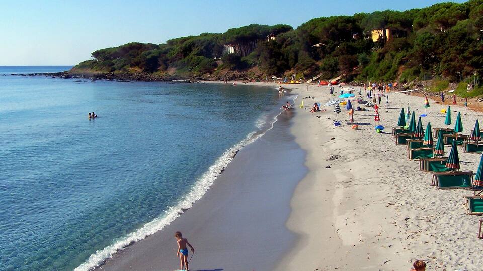 A beach with clear blue water, green umbrellas, and people enjoying the shore.