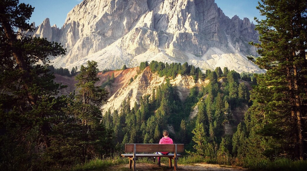 The mountains were calling ✨
Rarely have I experienced nature as amazing as that which can be found in the Dolomites in Italy. I’ve seen photos of it so I knew it would be beautiful but it was truly mind-blowing and even better than what I had expected. With views this pretty and a bench this well placed, there is just no excuse not to rest your legs for a while. #nature #italy #europe #dolomites #mountains