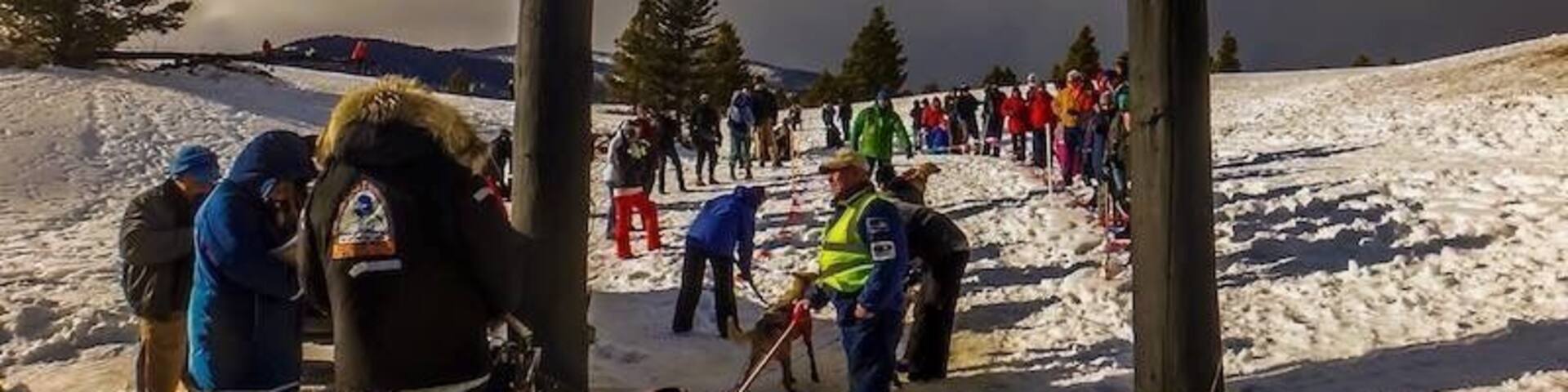 On Valentine's Day weekend.. Great dog race in Montana!
