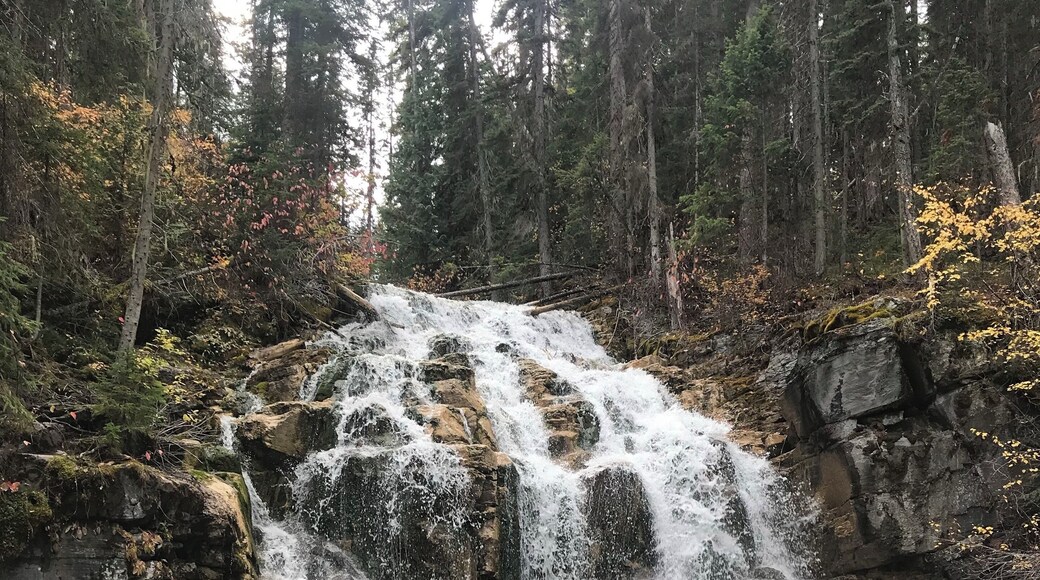 Sunday falls is a hidden gem. A short walk from the trailhead. #adventure #hiking #waterfall #woods #water