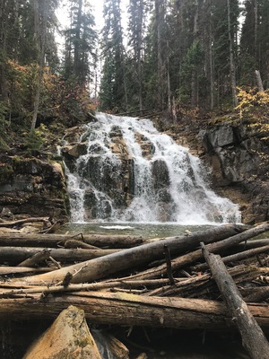 Sunday falls is a hidden gem. A short walk from the trailhead. #adventure #hiking #waterfall #woods #water