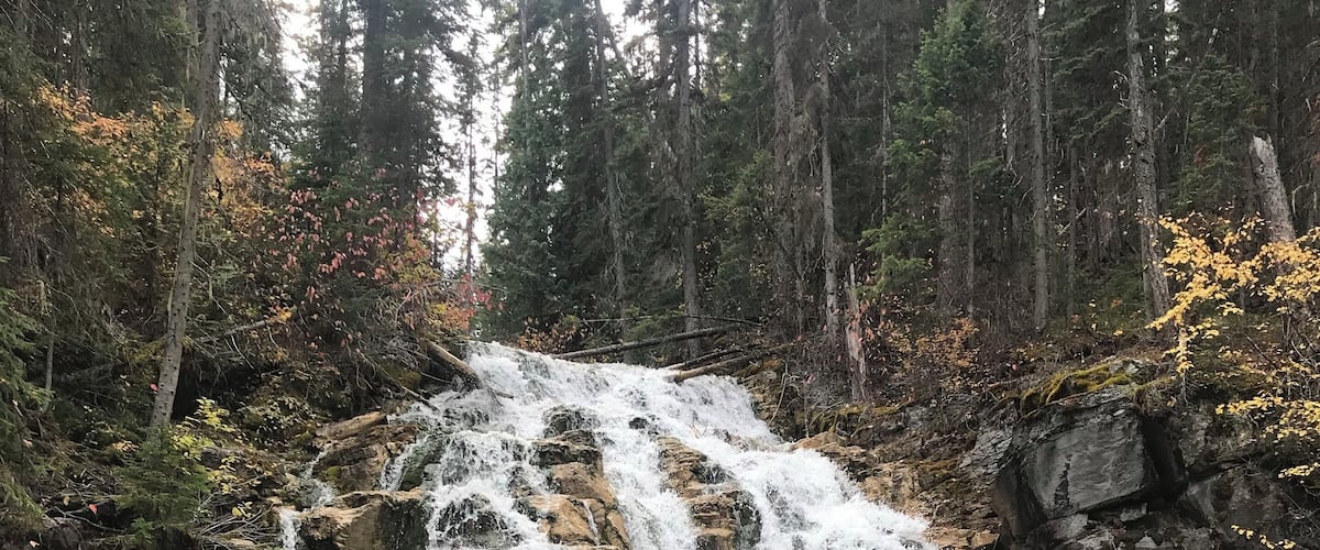 A waterfall cascading over rocks in a forested area with fallen logs and trees in the background.