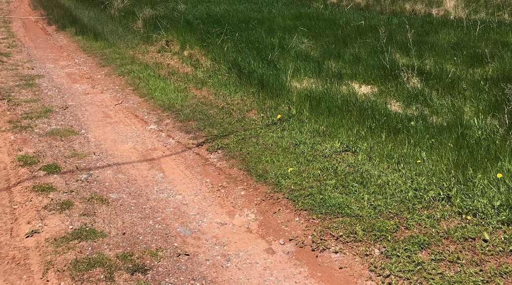 Smallest lighthouse I've seen!