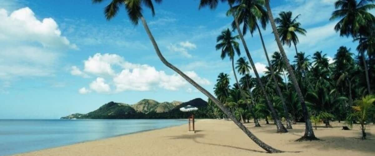 A beach with palm trees and a mountain in the background.