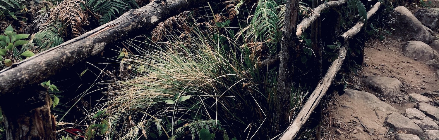 Eravikulam National Park, a habitat for the endangered mountain goat Nilgiri tahr, is home to the Lakkam Waterfalls, hiking trails and 2,695m-tall Anamudi Peak.