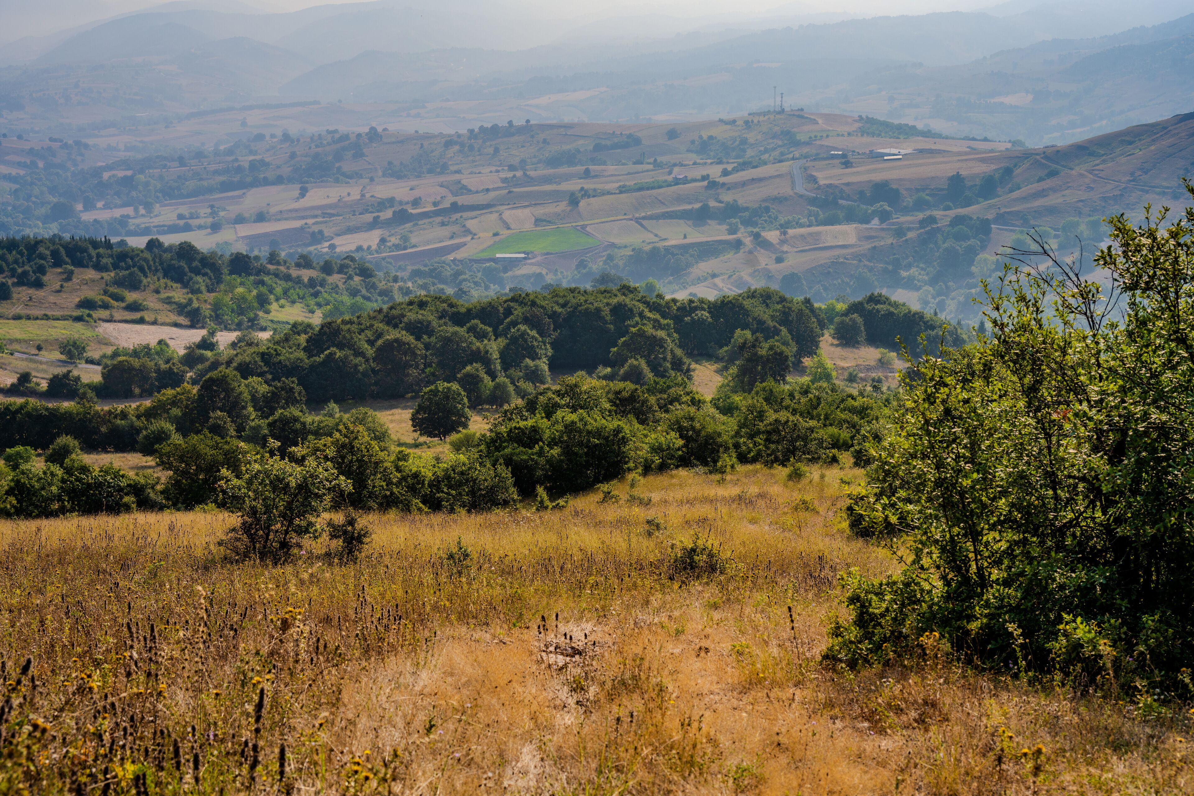 Expansive View of Rolling Hills, Patchwork Farmlands, and Bushy Grasslands under Summer Sun in Altınova, Yalova, Türkiye