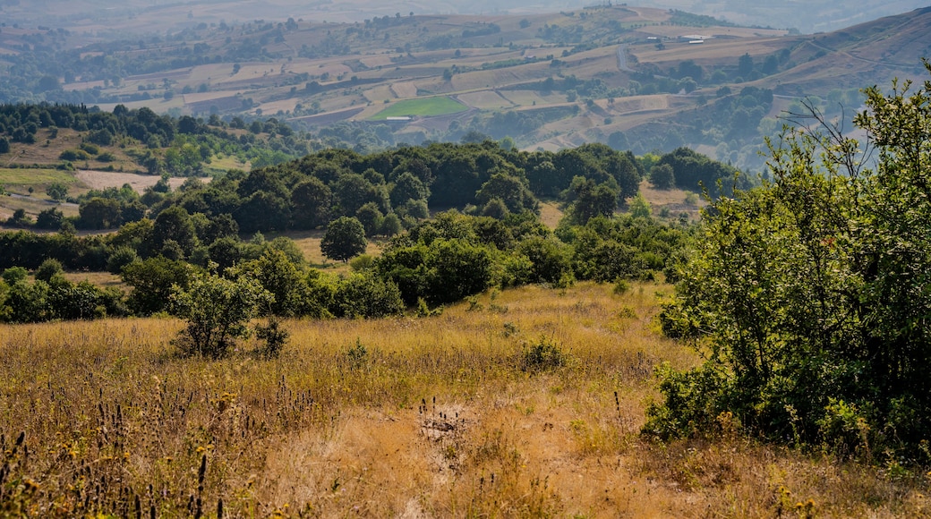 Expansive View of Rolling Hills, Patchwork Farmlands, and Bushy Grasslands under Summer Sun in Altınova, Yalova, Türkiye