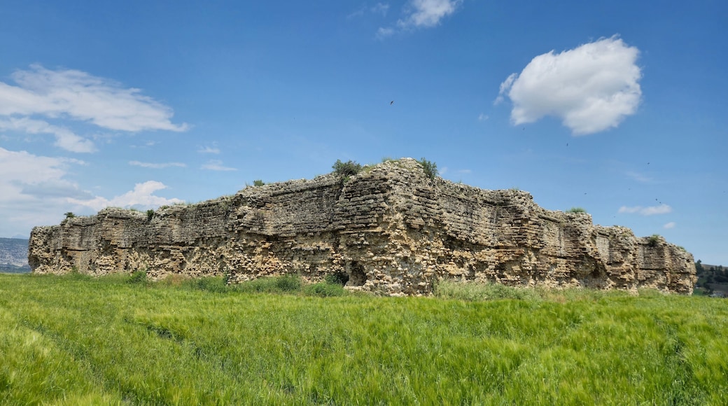 Ruins of Bayrampasa Caravanserai (Kesiri Han), an ancient roadside inn built near the akt River in Altnova, Karaisal, Adana, Turkey