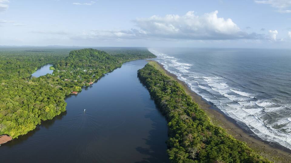 A river winding through a dense forest, leading to a coastline with waves crashing onto the shore.