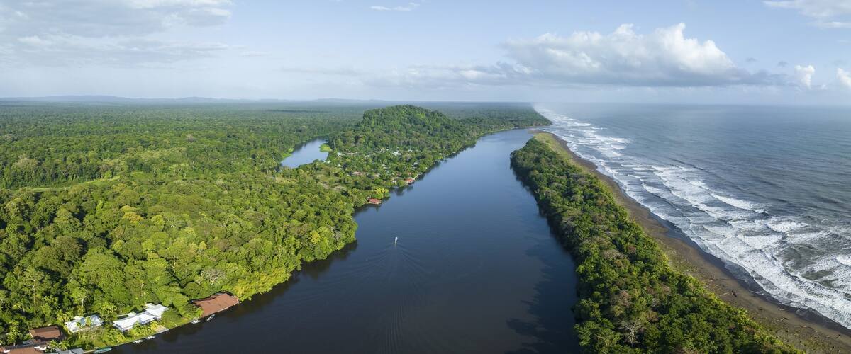 A river winding through a dense forest, leading to a coastline with waves crashing onto the shore.