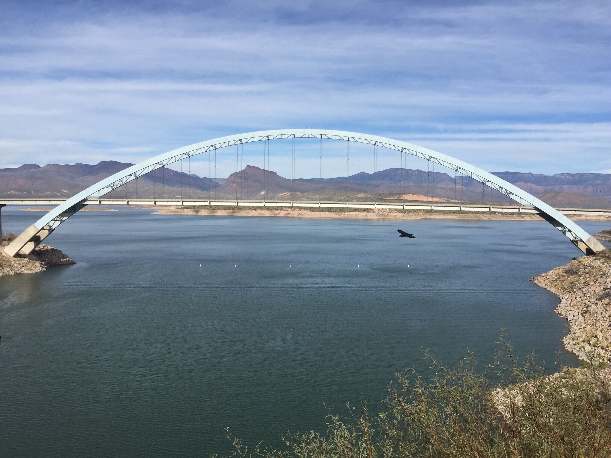 Perfect timing!
#RooseveltBridge
#Az