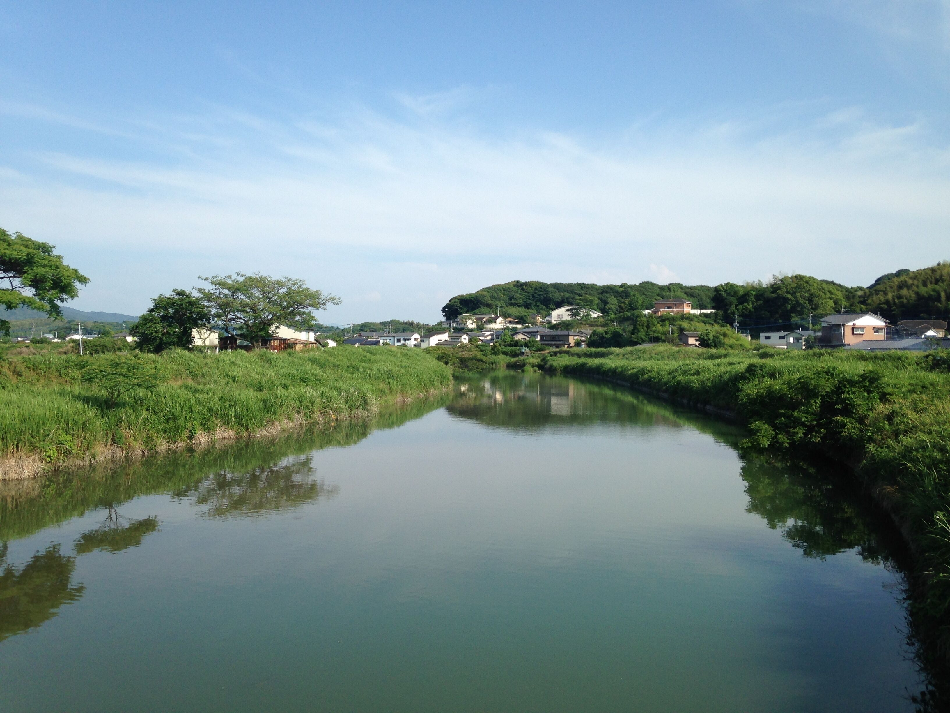 臼井橋より望む諏訪川(上流側)
