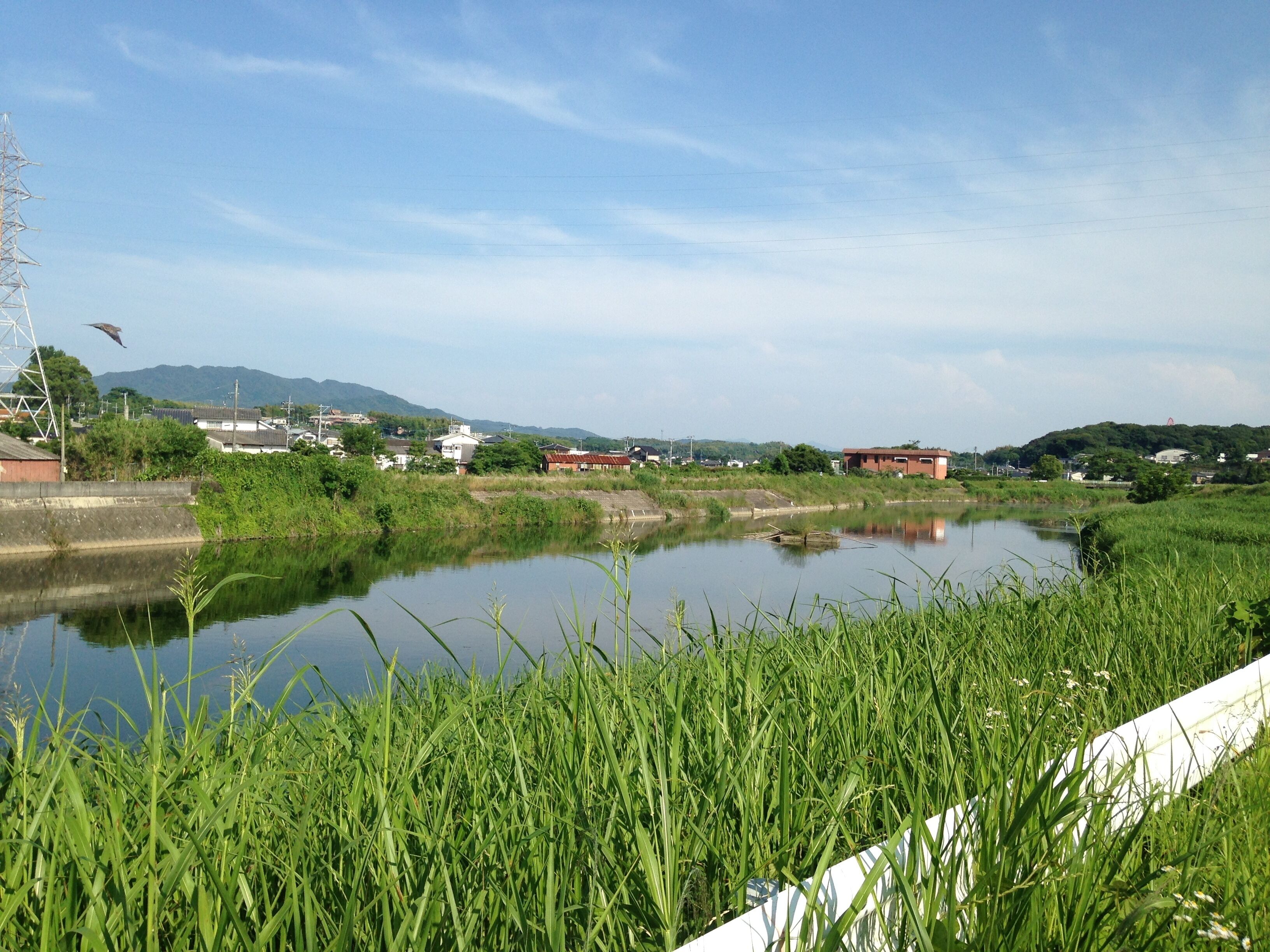 三池鉄道三池本線諏訪川橋梁付近より望む諏訪川と三池山