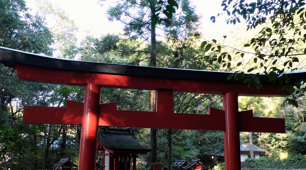 Um tradicional portão torii japonês com um caminho de cascalho passando por ele.