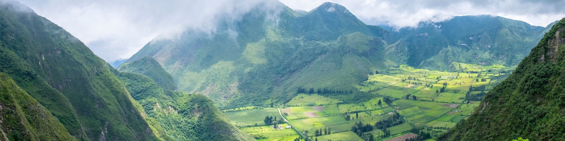 Un valle con campos escalonados y montañas al fondo.