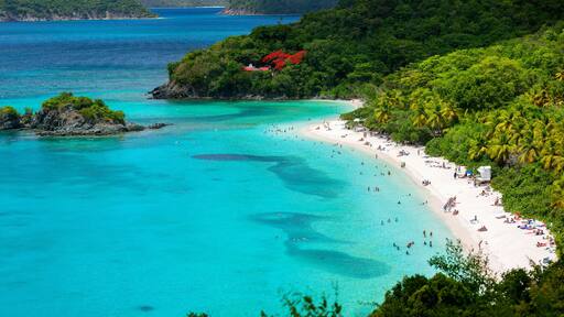 フィッシュ ベイ