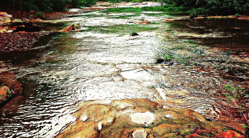 Found the perfect place to jump in and cool off on a hot, sumener day!