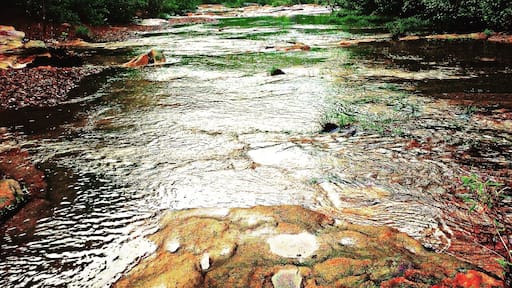 Found the perfect place to jump in and cool off on a hot, sumener day!