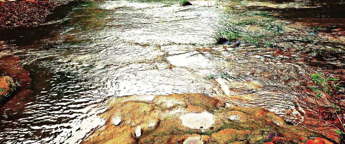 A river flowing through a forested area with rocky banks and dense green foliage.