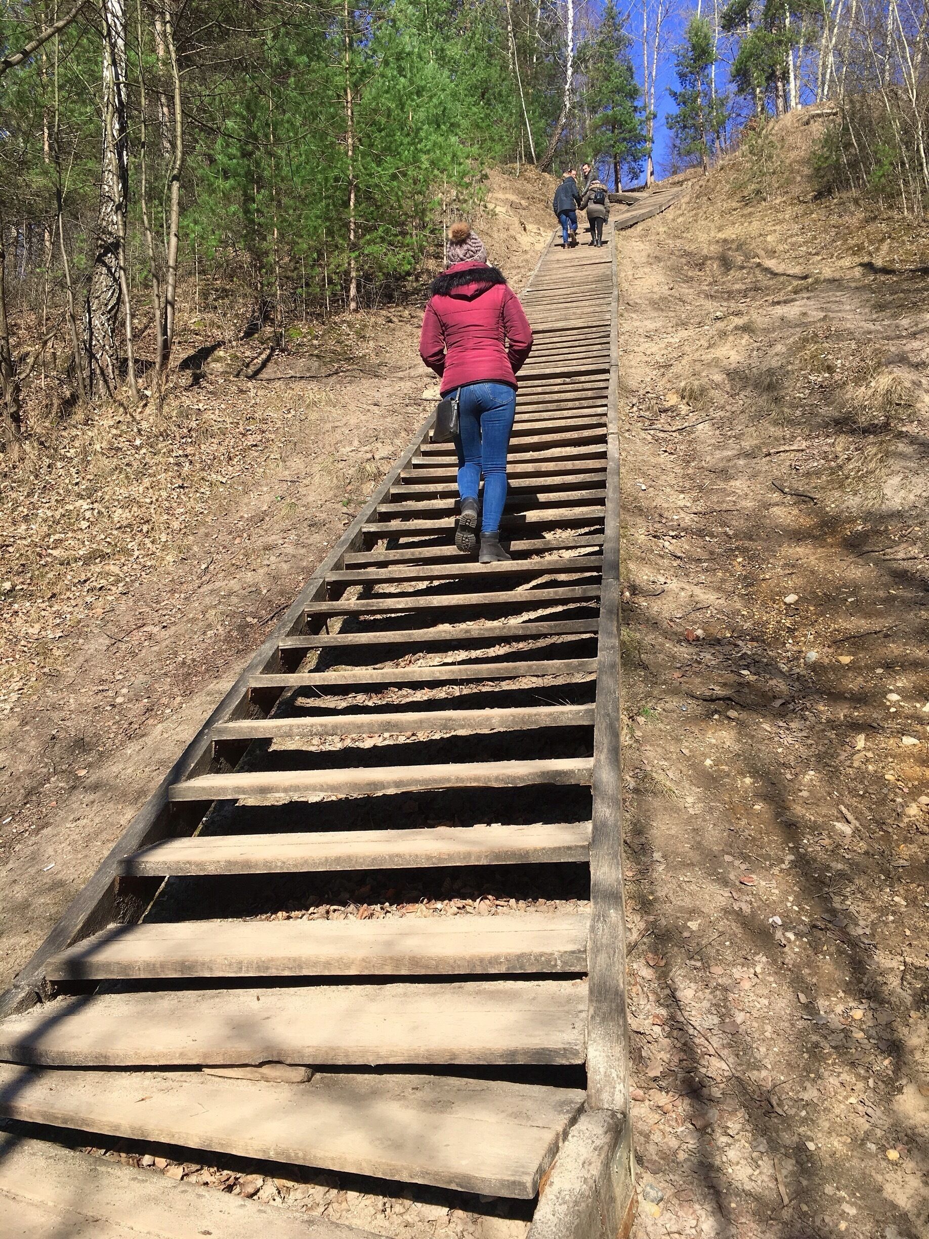 A wooden staircase in a forested area.