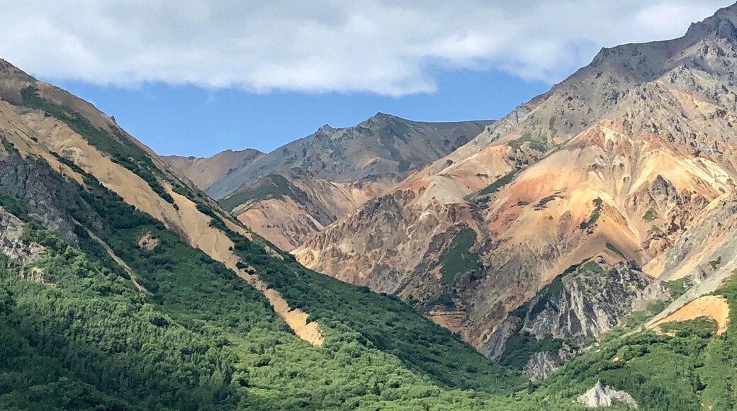 Just a few miles away from the Matanuska Glacier, you pass these beautiful mountains. The colors in the afternoon were just breathtaking.