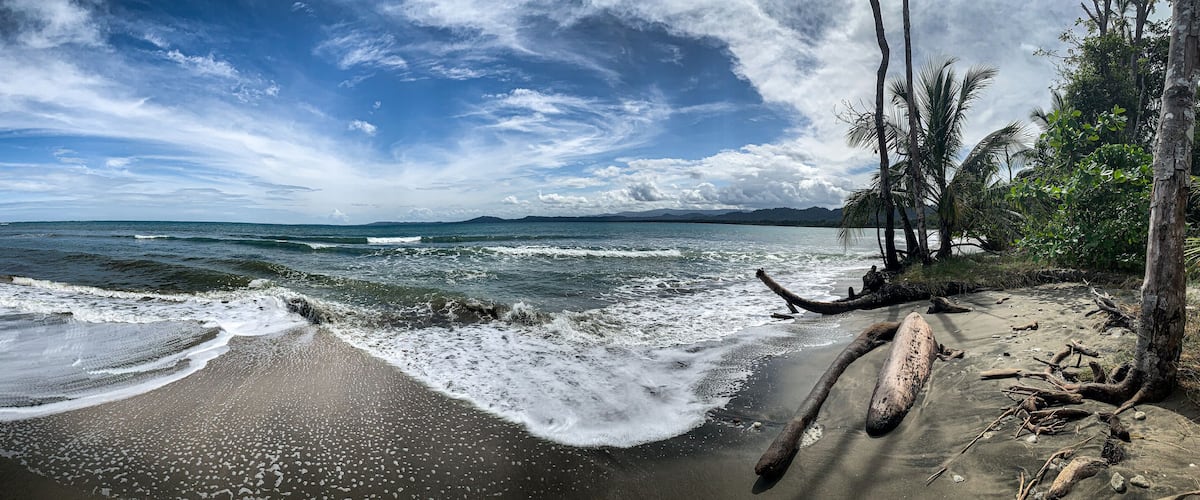 A beach with waves, palm trees, and a clear sky.