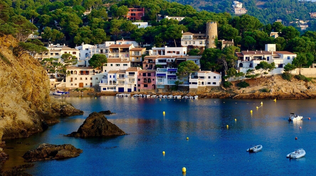 Beautiful village of Sa Tuna in a small Cala. The coastal path allows multiple views of sea and village. (Early morning ... beware the mosquitos!)
