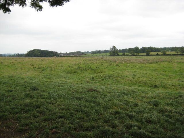 Farmland off Stallington Lane Looking south east from Stallington Lane towards Little Leacroft Farm