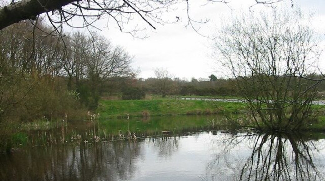 Pond at Barlaston Common Located in Rough Close between Stoke on Trent and Stone it is known as Rough Close Common, Pond.