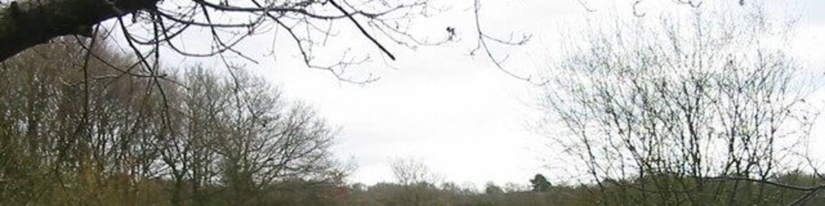 Pond at Barlaston Common Located in Rough Close between Stoke on Trent and Stone it is known as Rough Close Common, Pond.