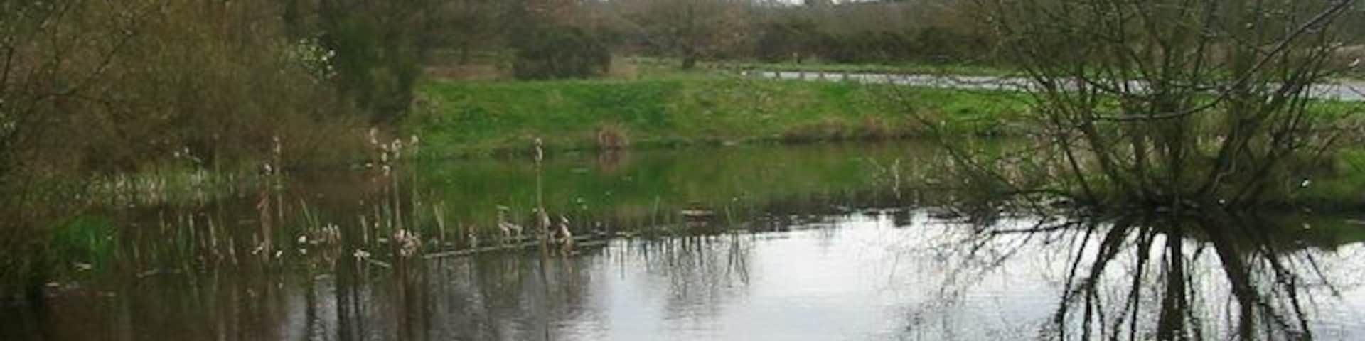 Pond at Barlaston Common Located in Rough Close between Stoke on Trent and Stone it is known as Rough Close Common, Pond.