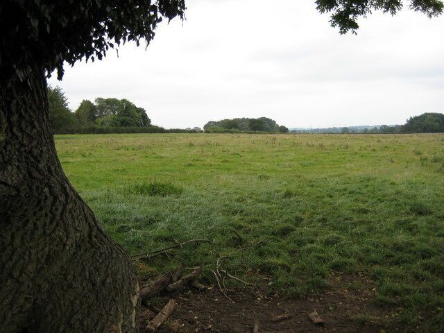 Lower Gorstybirch Looking across fields towards Lower Gorstybirch from Stallington Lane
