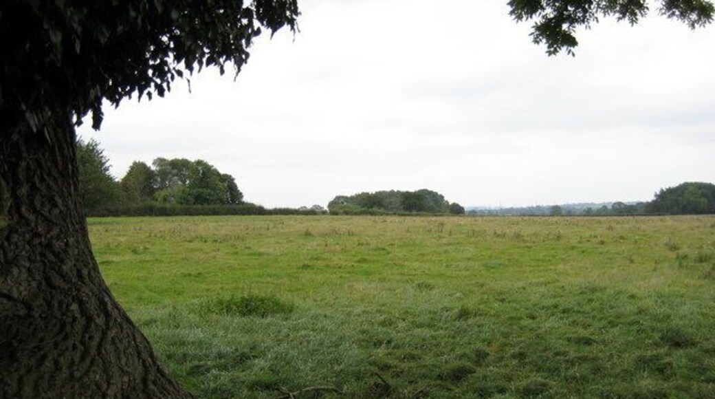 Lower Gorstybirch Looking across fields towards Lower Gorstybirch from Stallington Lane